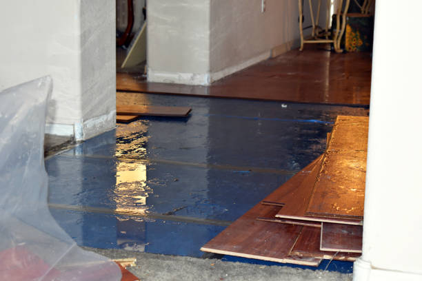 Professional Water Damage Restoration technician working in Bremen, AL